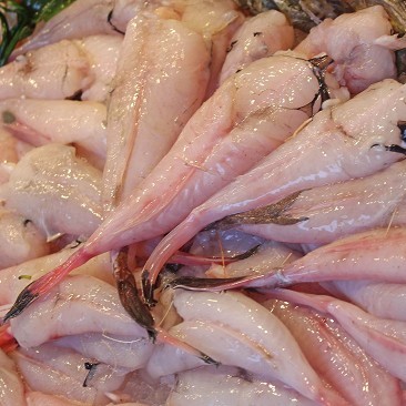 Small Monkfishes (whole)