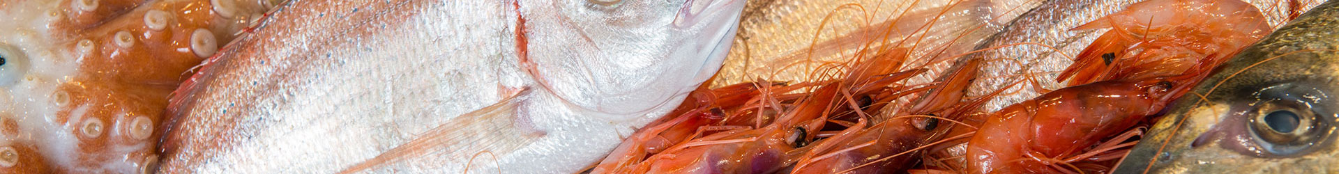 vendita diretta pesce fresco | miglior pesce genova | comprare pesce dai pescatori | pesce abbattuto