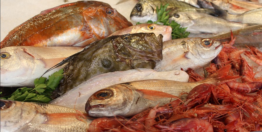 Get the freshest fish in 6 hours !