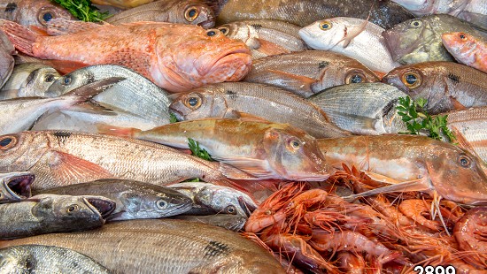 Immagini per borse