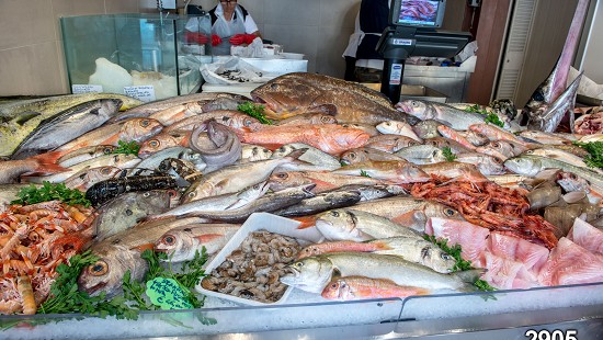 Immagini per borse