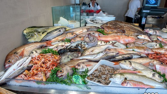 Immagini per borse